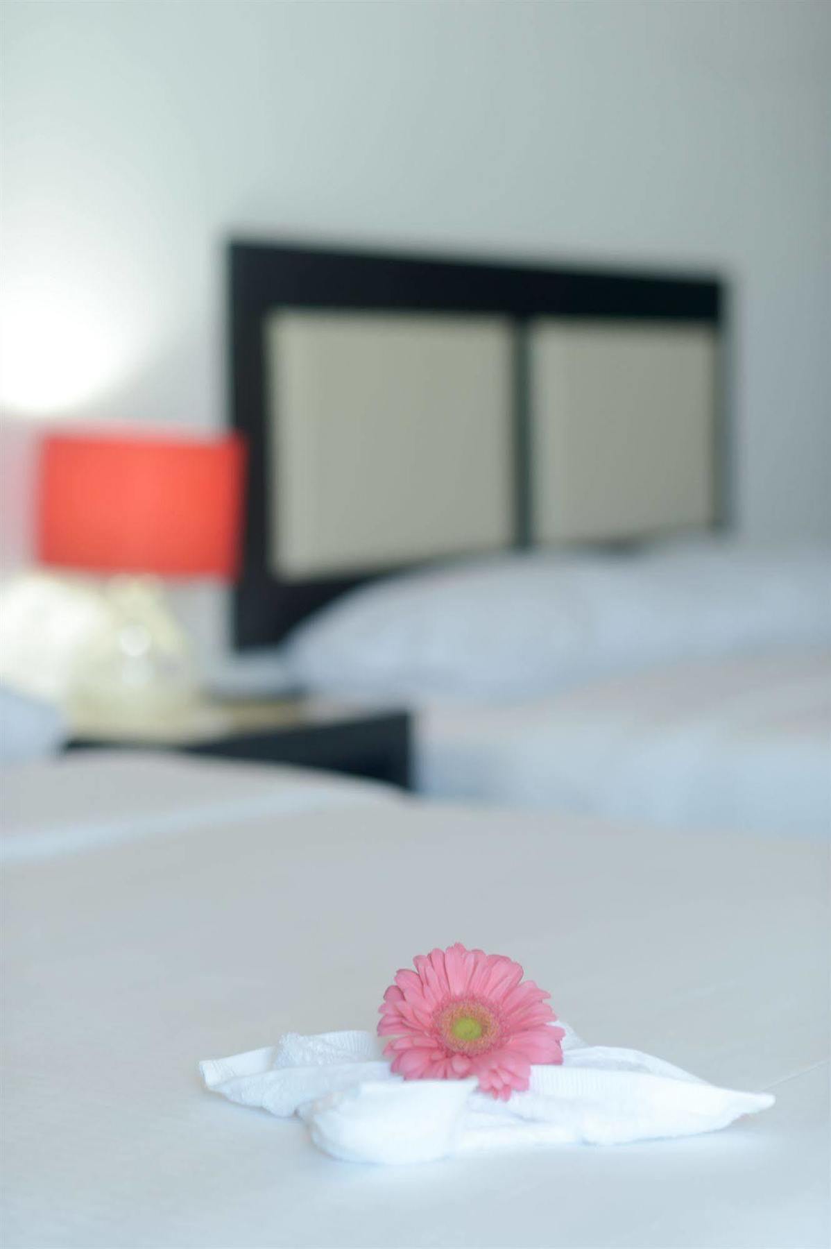 Sunrise 42 Suites Hotel 신데 델 카르멘 외부 사진